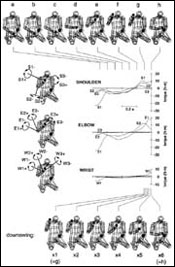 A diagram showing biomechanical data