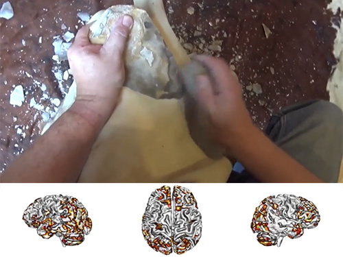 fMRI Images taken while a stone toolmaker watches a video of himself making a stone tool