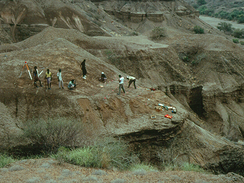 Excavation at Gona, Afar, Ethiopia