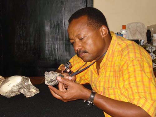 Jackson Njau analyzing fossil specimen
